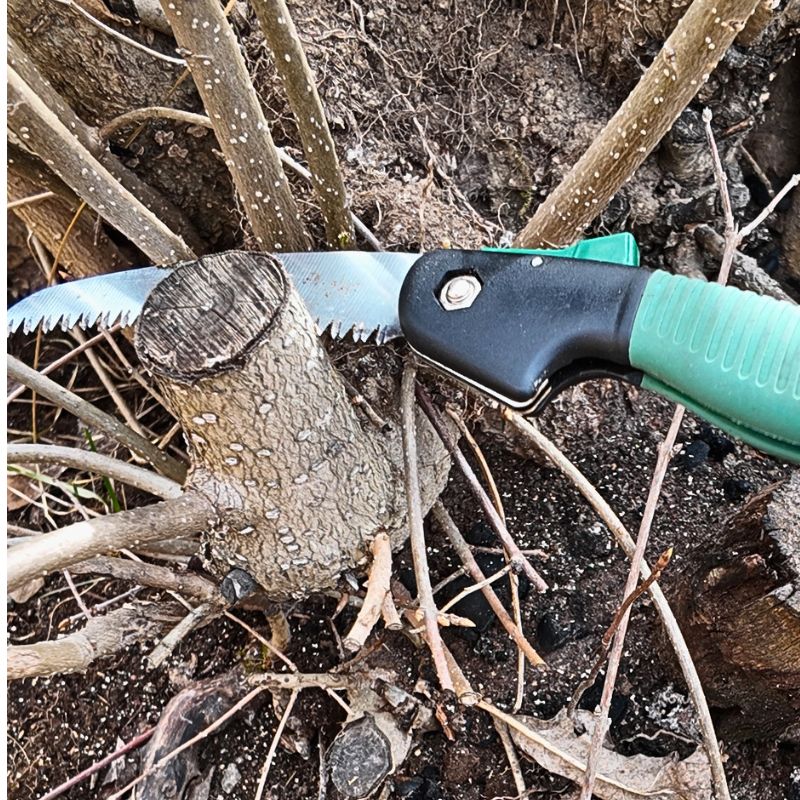 Grensåg av japansk typ