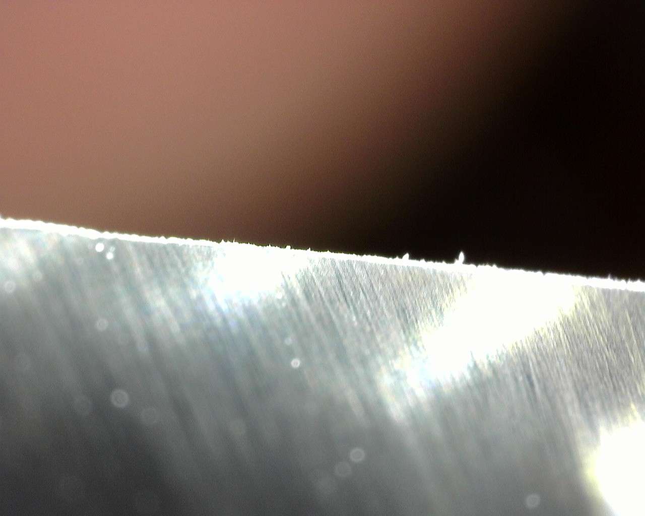 Stämjärnsegg i microskop