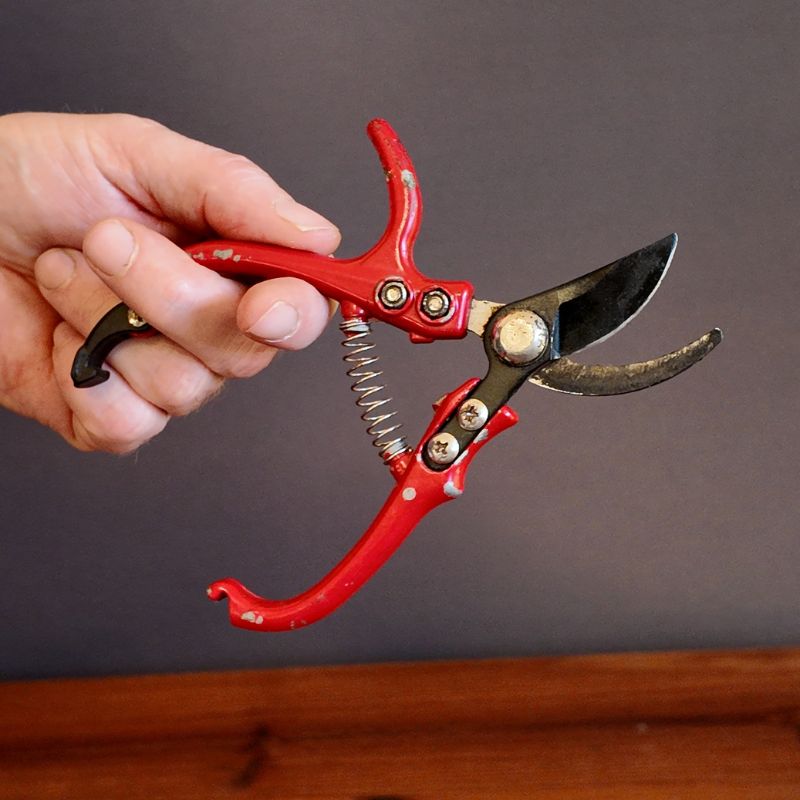 Slipa din sidoskärssekatör - det är enkelt