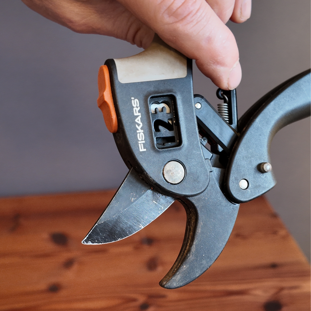 En mothållssekatör